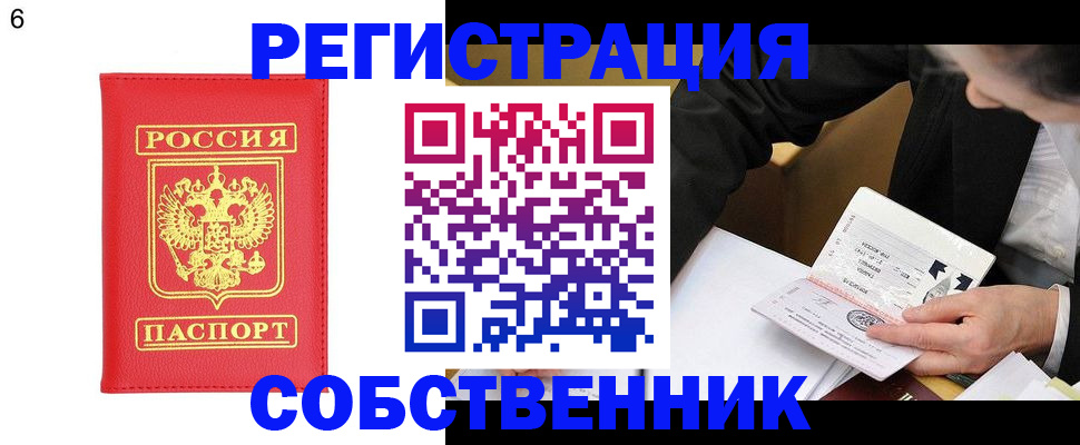 временная регистрация поиск в Луге